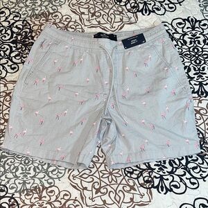 Hollister Striped Jogger Shorts W/ Flamingo Print